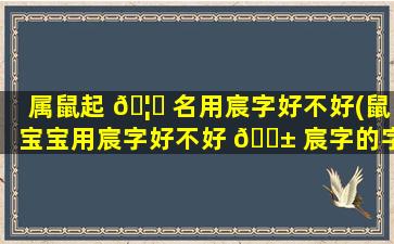属鼠起 🦋 名用宸字好不好(鼠宝宝用宸字好不好 🐱 宸字的字根是什么)